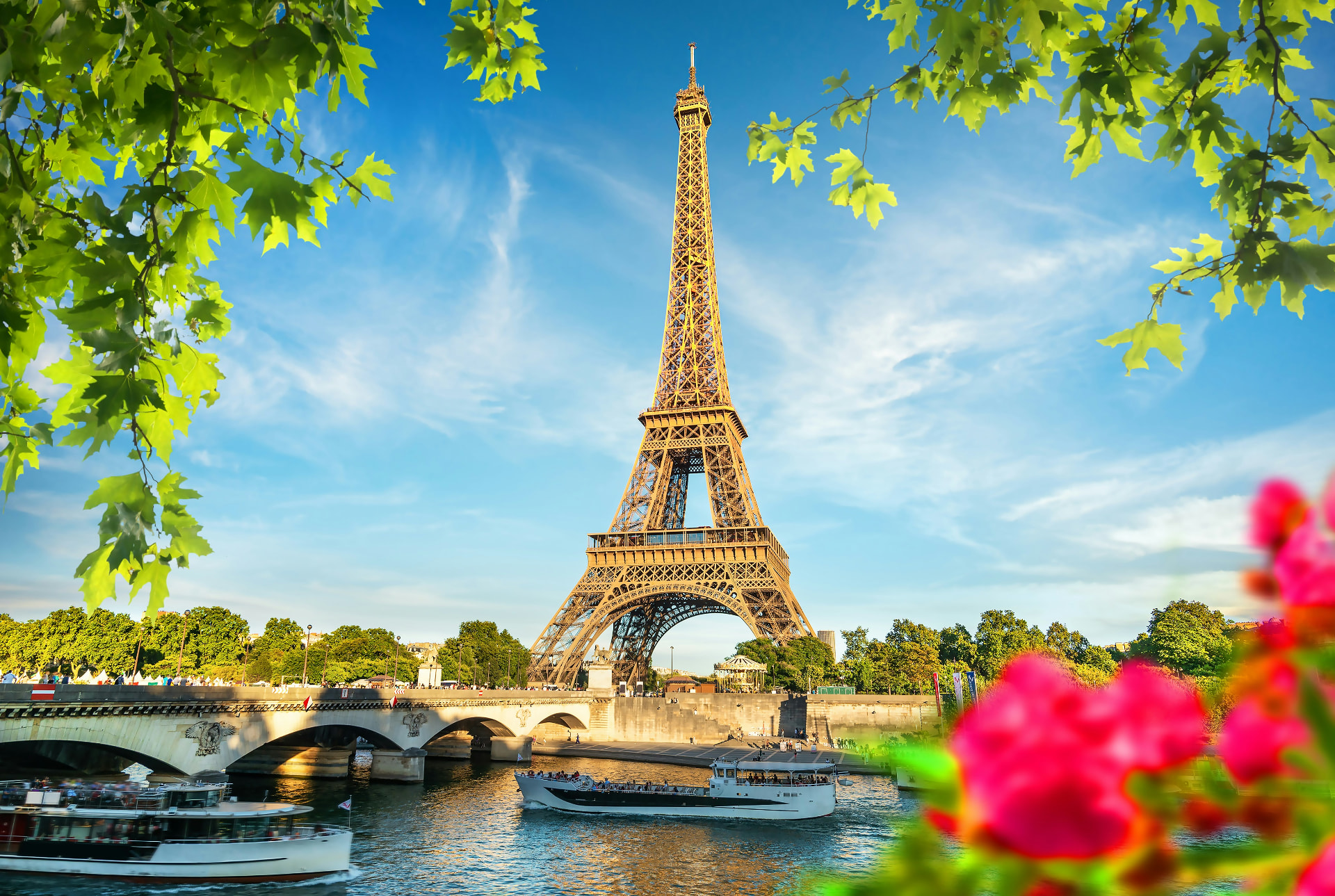 The Eiffel Tower and Seine riverboats framed by fresh green leaves and bright pink flowers